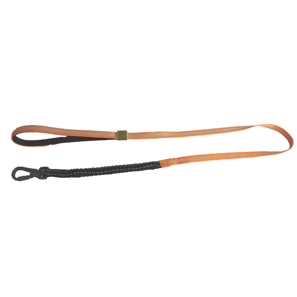 AFP Off Street Dog Leash Tangerine - Afbeelding 3