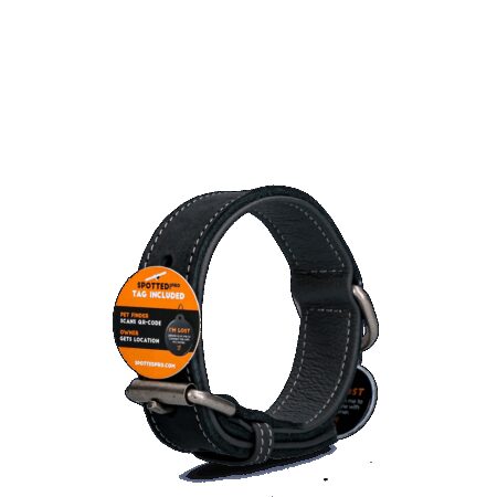Spotted! Pro Leren Halsband Zwart 2,5cm