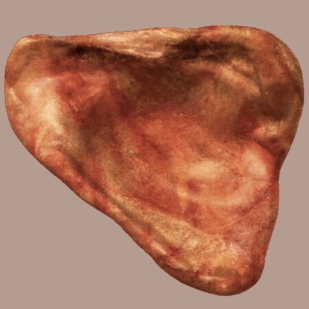 Pet Qwerks Bacon Pig Ear