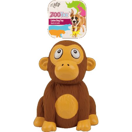AFP Chistopher Chimp