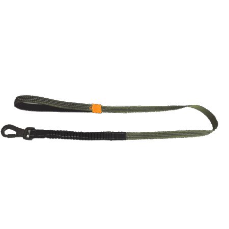 AFP Off Street Dog Leash Olive Green
