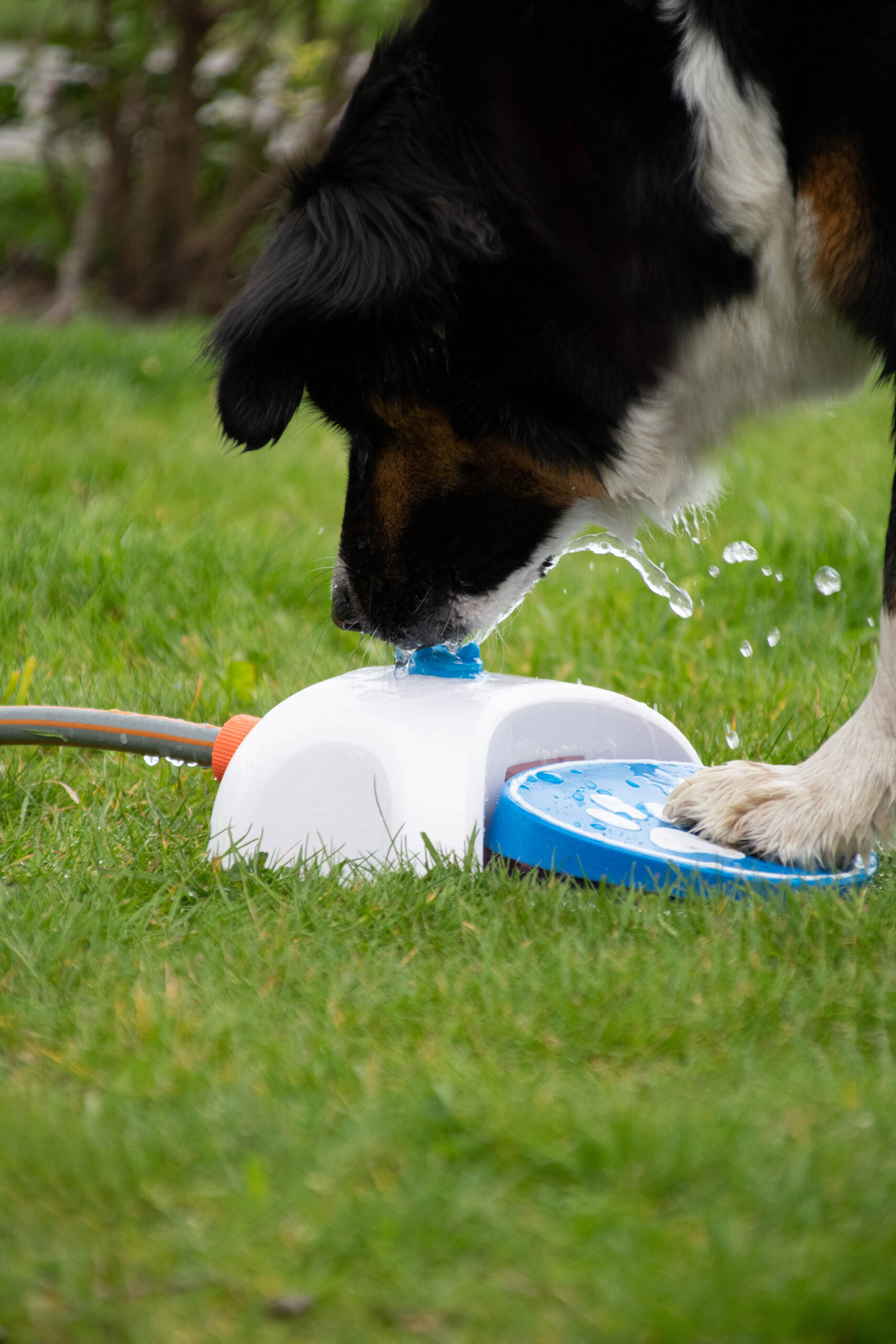 CoolPets Splash Water Fountain - Afbeelding 3
