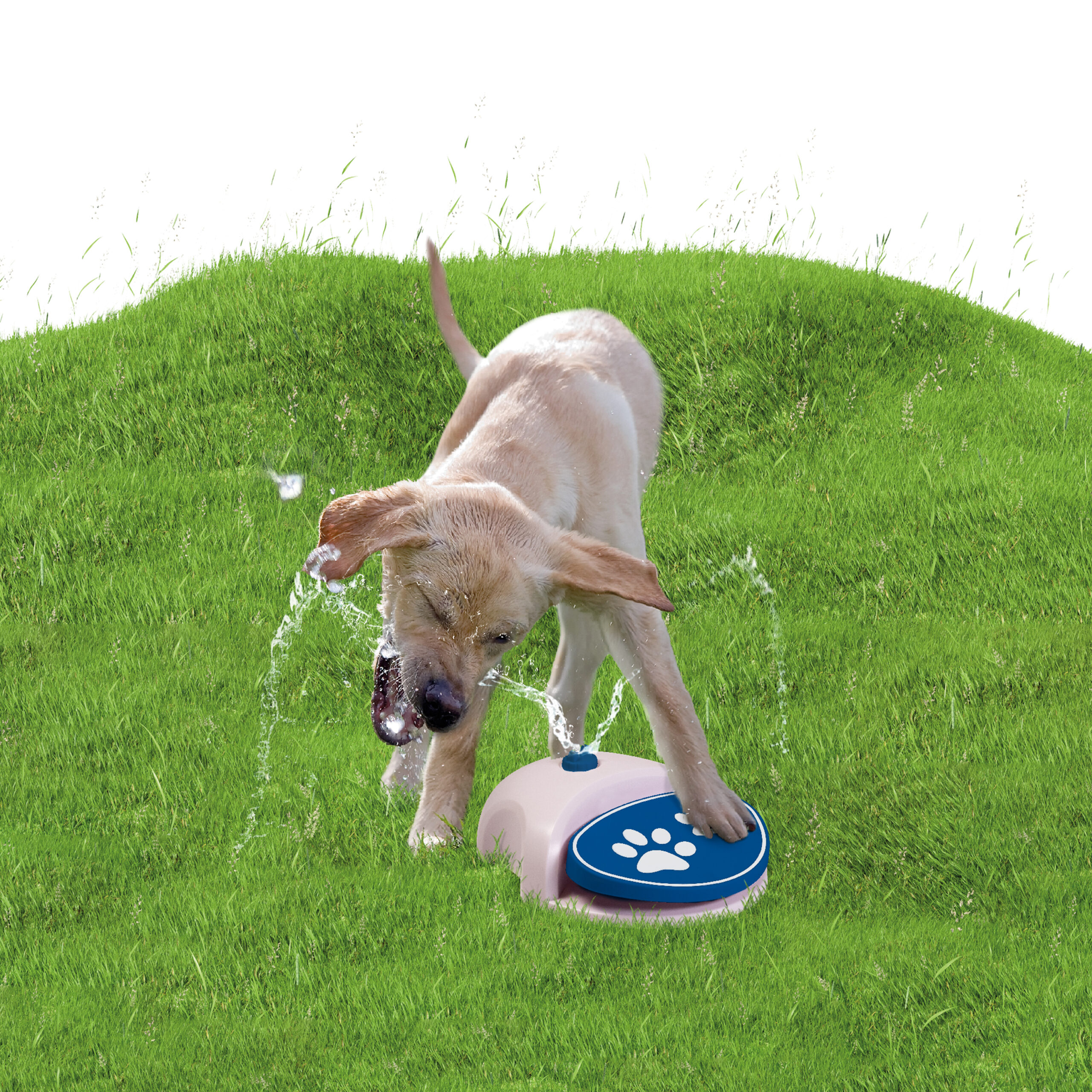 CoolPets Splash Water Fountain - Afbeelding 5