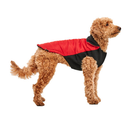 Gooeez Mock Neck Signature Jacket Red/Black
