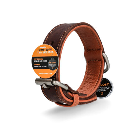 Spotted! Pro Leren Halsband Bruin 2,5cm